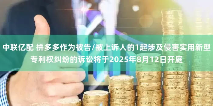 中联亿配 拼多多作为被告/被上诉人的1起涉及侵害实用新型专利权纠纷的诉讼将于2025年8月12日开庭