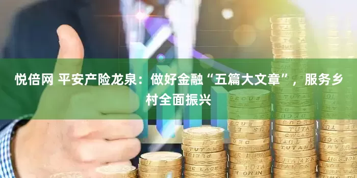 悦倍网 平安产险龙泉：做好金融“五篇大文章”，服务乡村全面振兴